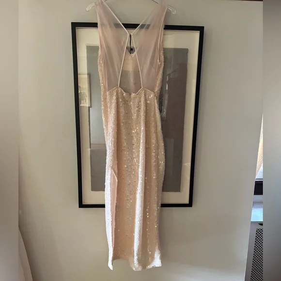 NWT Massimo Dutti Studio blush sequin dress with chiffon open back side slit  S - Picture 3 of 14